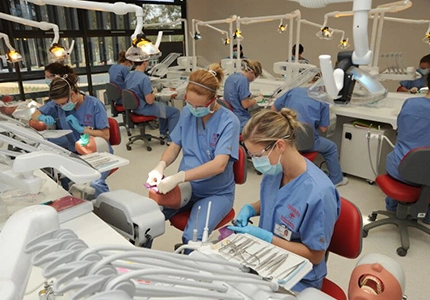 Dental Schools and Training Centers